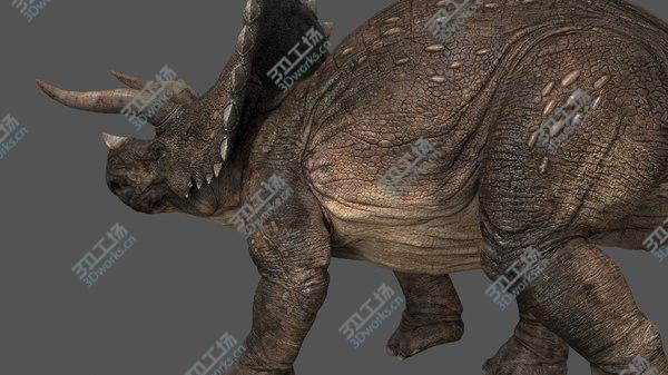 images/goods_img/20210312/Triceratops animations 3D model/2.jpg